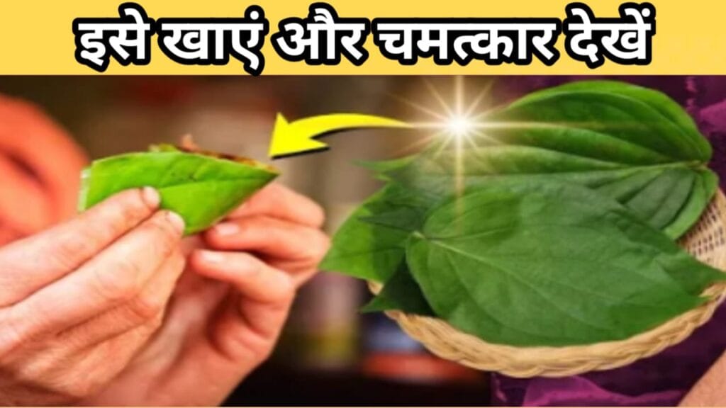  पत्ता नही खरा सोना है ये - 1 पत्ता ही काफी है | 90 साल तक शरीर स्वस्थ रहेगा | Betel Leaf benifits